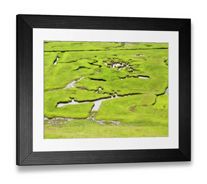 Framed Print : Aerial view of saltmarsh, Garderhouse, Shetland, Scotland, UK. June, 2022 Framed Print : Aerial view of saltmarsh, Garderhouse, Shetland, Scotland, UK. June, 2022
