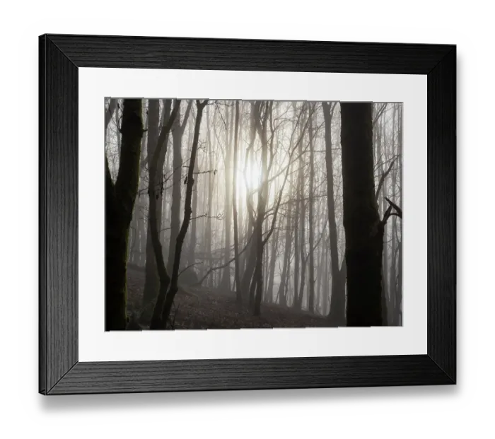 Framed Print : Mist drifting through woodland with trees backlit by the sun, Ambleside, Lake District, Cumbria, UK. December, 2021 Framed Print : Mist drifting through woodland with trees backlit by the sun, Ambleside, Lake District, Cumbria, UK. December, 2021