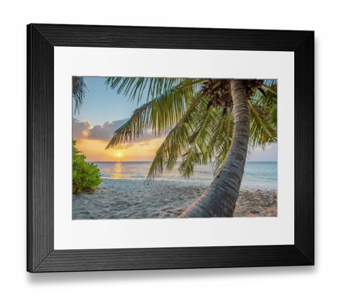 Framed Print : Palm tree on the beach at sunset, Dhigurah island, South Ari Atoll, Maldives, Indian Ocean. February, 2020 Framed Print : Palm tree on the beach at sunset, Dhigurah island, South Ari Atoll, Maldives, Indian Ocean. February, 2020