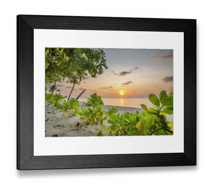 Framed Print : Sunset over the ocean viewed from beach, Dhigurah Island, South Ari Atoll, Maldives, Indian Ocean. February, 2020 Framed Print : Sunset over the ocean viewed from beach, Dhigurah Island, South Ari Atoll, Maldives, Indian Ocean. February, 2020