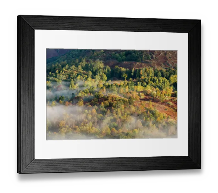 Framed Print : View from Loughrigg, with autumn colour and morning mist, near Grasmere, The Lake District, Cumbria, UK. October 2012 Framed Print : View from Loughrigg, with autumn colour and morning mist, near Grasmere, The Lake District, Cumbria, UK. October 2012