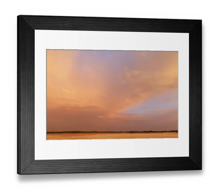 Framed Print : Caribbean flamingo (Phoenicopterus ruber) flock in distance at dusk, Ria Celestun Biosphere Reserve, Yucatan Peninsula, Mexico, August Framed Print : Caribbean flamingo (Phoenicopterus ruber) flock in distance at dusk, Ria Celestun Biosphere Reserve, Yucatan Peninsula, Mexico, August