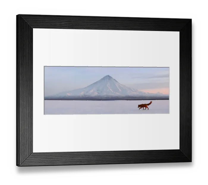 Framed Print : Red Fox (Vulpes vulpes) in snowy landscape with Kronotsky Volcano, Zapovednik, Kamchatka, Russia Framed Print : Red Fox (Vulpes vulpes) in snowy landscape with Kronotsky Volcano, Zapovednik, Kamchatka, Russia