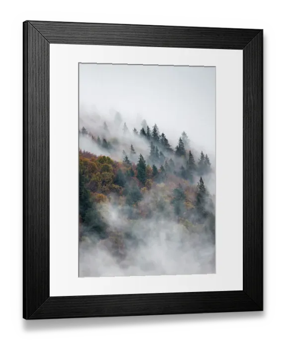 Framed Print : Pine trees in misty landscape, Ballons des Vosges Regional Natural Park, Vosges Mountains, France, October 2014 Framed Print : Pine trees in misty landscape, Ballons des Vosges Regional Natural Park, Vosges Mountains, France, October 2014