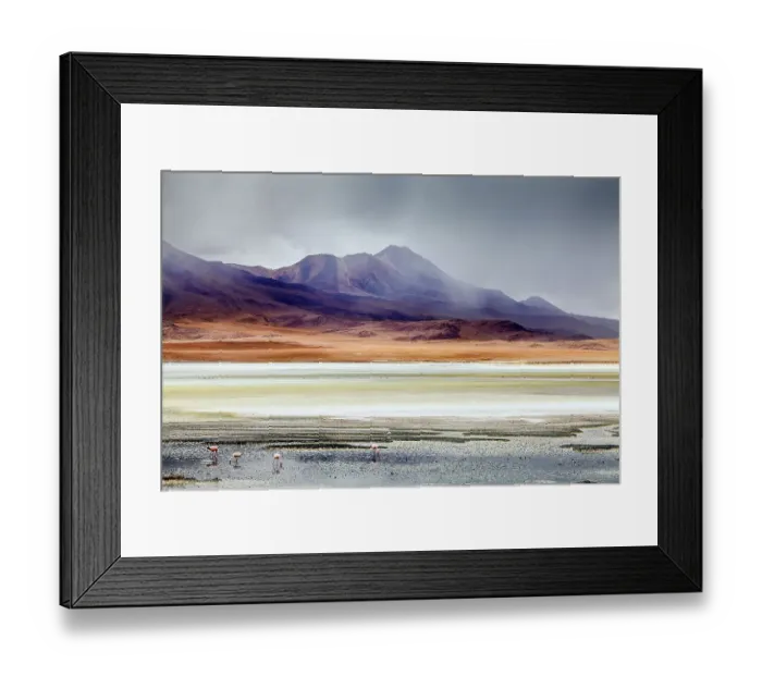 Framed Print : Andean Flamingoes (Phoenicoparrus andinus) on the Altiplano, Sur Lipez Province, Potosi Department, Bolivia. December 2013 Framed Print : Andean Flamingoes (Phoenicoparrus andinus) on the Altiplano, Sur Lipez Province, Potosi Department, Bolivia. December 2013