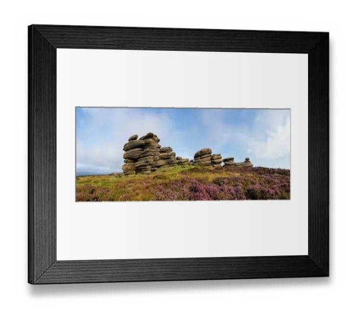 Framed Print : A millstone grit formation known as the Coach and Horses on Derwent Edge, with Heather (Calluna vulgaris) in bloom. Peak District National Park, Derbyshire, UK. September. Stitched panorama Framed Print : A millstone grit formation known as the Coach and Horses on Derwent Edge, with Heather (Calluna vulgaris) in bloom. Peak District National Park, Derbyshire, UK. September. Stitched panorama