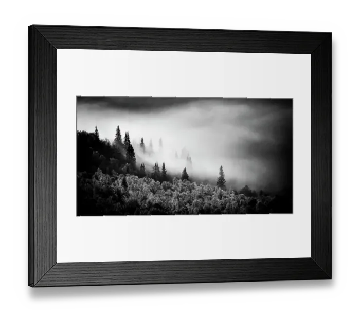 Framed Print : Black and white image of fog on mountain with conifer trees, Sweden Framed Print : Black and white image of fog on mountain with conifer trees, Sweden