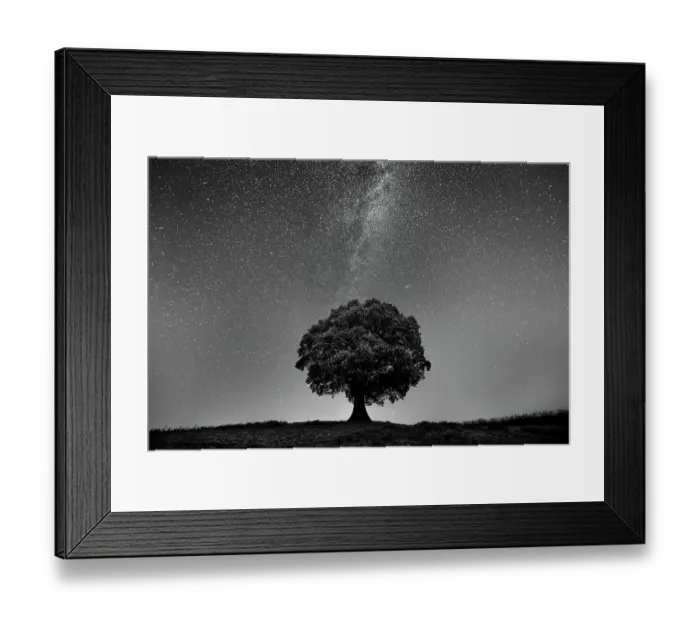 Framed Print : Astrophotography- English Oak Tree (Quercus robur) under stars of the Milky Way, Brecon Beacons National Park, International Dark Sky Preserve, Monmouthshire, Wales, UK, August Framed Print : Astrophotography- English Oak Tree (Quercus robur) under stars of the Milky Way, Brecon Beacons National Park, International Dark Sky Preserve, Monmouthshire, Wales, UK, August