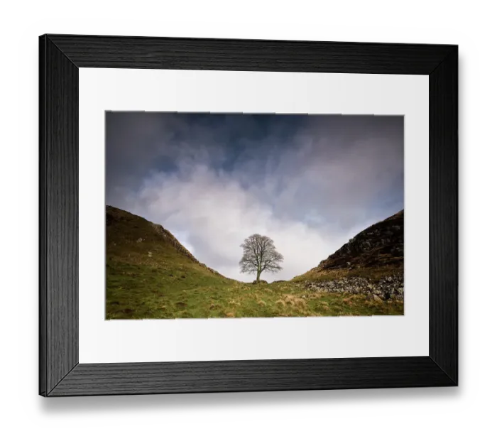 Framed Print : Hadrian's Wall at Sycamore Gap, between Steel Rigg and Housesteads, Northumberland, England, UK, March 2017 Framed Print : Hadrian's Wall at Sycamore Gap, between Steel Rigg and Housesteads, Northumberland, England, UK, March 2017