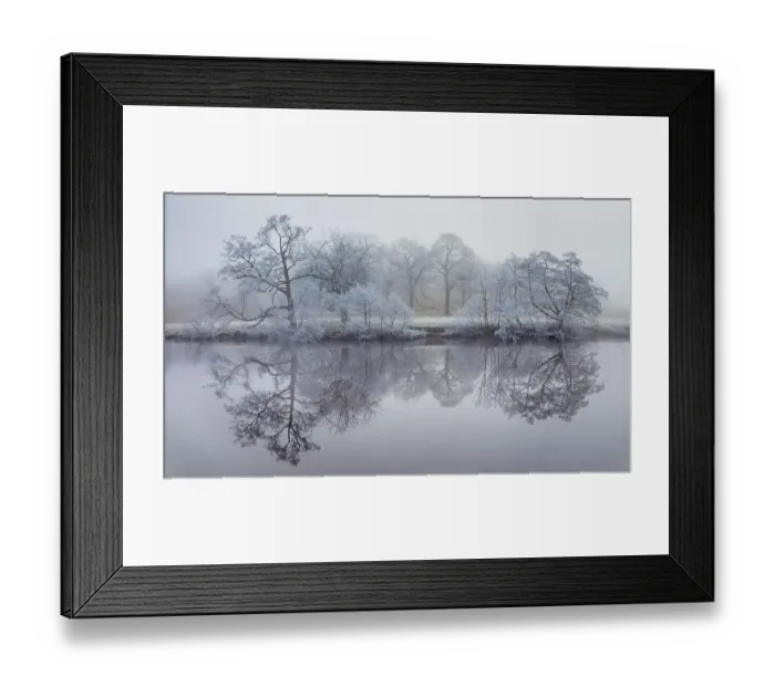 Framed Print : Trees coated in hoar frost reflected in the River Derwent. Chatsworth, Peak District National Park, UK, December Framed Print : Trees coated in hoar frost reflected in the River Derwent. Chatsworth, Peak District National Park, UK, December