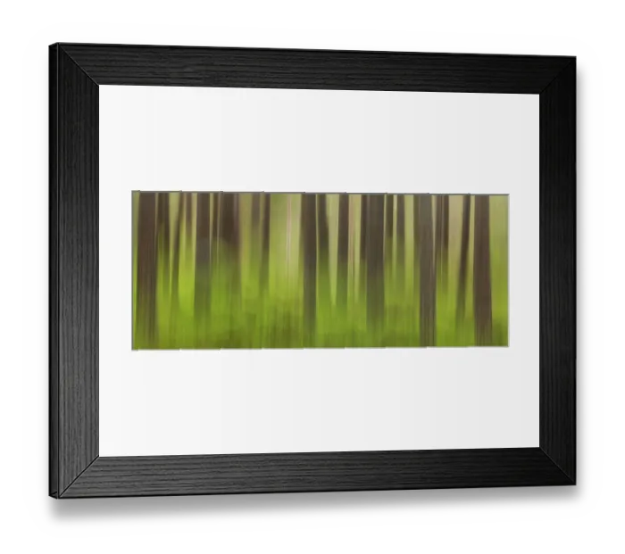 Framed Print : Abstract impression of trunks of Scots pine trees (Pinus sylvestris) Abernethy Forest, Cairngorms National Park, Scotland, UK, May 2011 Framed Print : Abstract impression of trunks of Scots pine trees (Pinus sylvestris) Abernethy Forest, Cairngorms National Park, Scotland, UK, May 2011