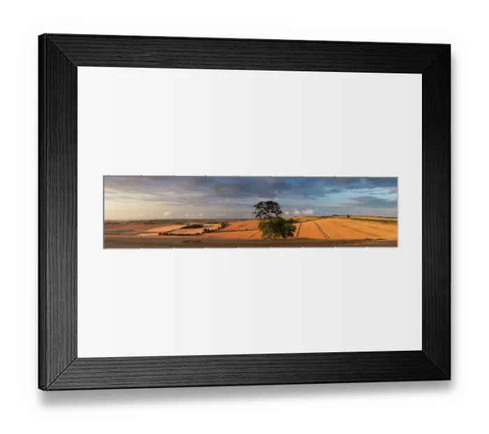 Framed Print : Panoramic views of fields of ripe wheat near Piddletrenthide, Dorset, UK July 2012 Framed Print : Panoramic views of fields of ripe wheat near Piddletrenthide, Dorset, UK July 2012