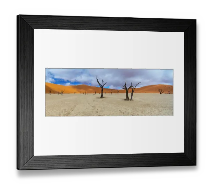 Framed Print : Dead Camel thorn trees (Vachellia / Acacia erioloba) with distant sand dunes, Deadvlei, Namib-Naukluft National Park, Namibia, Africa, June 2015 Framed Print : Dead Camel thorn trees (Vachellia / Acacia erioloba) with distant sand dunes, Deadvlei, Namib-Naukluft National Park, Namibia, Africa, June 2015