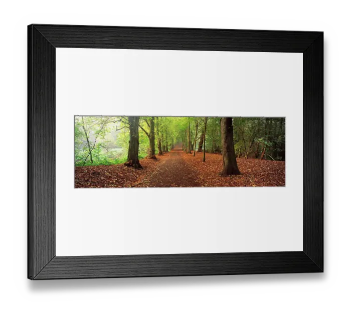 Framed Print : Avenue of autumnal trees, Hampstead Heath, London, England, UK Framed Print : Avenue of autumnal trees, Hampstead Heath, London, England, UK