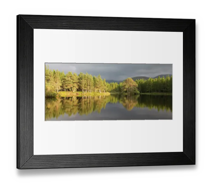 Framed Print : Scots pine (Pinus sylvestris) trees reflected in Lochan nan Geadas in evening light, Rothiemurchus, Cairngorms National Park, Scotland, UK, September 2014 Framed Print : Scots pine (Pinus sylvestris) trees reflected in Lochan nan Geadas in evening light, Rothiemurchus, Cairngorms National Park, Scotland, UK, September 2014