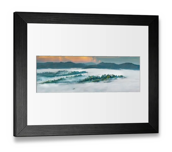Framed Print : RF - Mist hanging over Lowland Dipterocarp Rainforest just after sunrise. Danum Valley Conservation Area, Sabah, Borneo. (This image may be licensed either as rights managed or royalty free.)