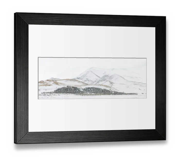 Framed Print : A panoramic composite image of a massive grouping of King penguins (Aptenodytes patagonicus) seeking shelter in the lee of small hills during a blizzard. St Andrew's Bay, South Georgia Island Panoramic composite view Framed Print : A panoramic composite image of a massive grouping of King penguins (Aptenodytes patagonicus) seeking shelter in the lee of small hills during a blizzard. St Andrew's Bay, South Georgia Island Panoramic composite view