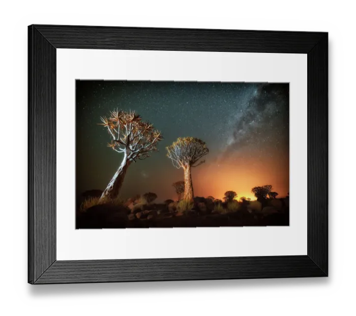 Framed Print : Quiver tree (Aloe dichotoma) with the Milky Way at night, and light pollution from town in the distance, Keetmanshoop, Namibia. Colours accentuated digitally Framed Print : Quiver tree (Aloe dichotoma) with the Milky Way at night, and light pollution from town in the distance, Keetmanshoop, Namibia. Colours accentuated digitally