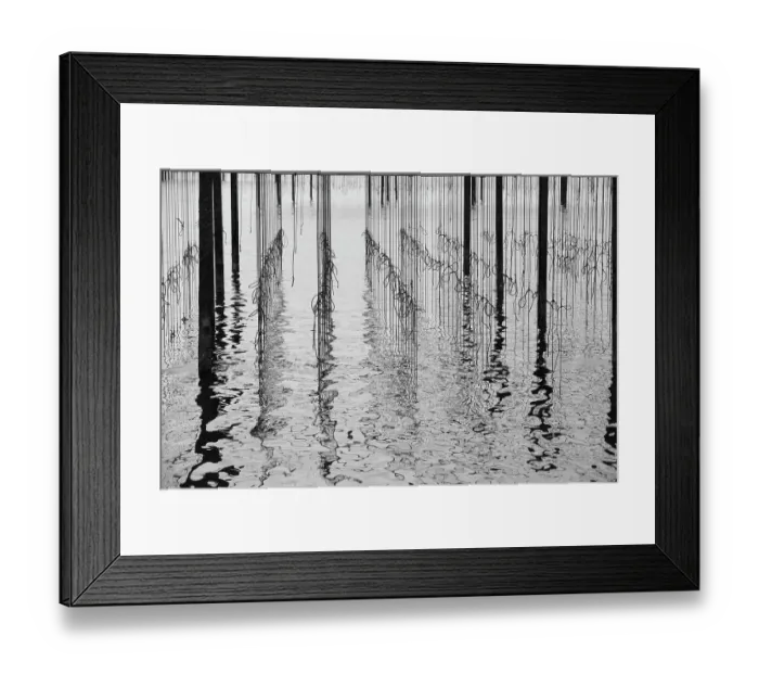 Framed Print : Reflections in water at mussel farm in the bay of Fos-sur-Mer, Camargue, France, September Framed Print : Reflections in water at mussel farm in the bay of Fos-sur-Mer, Camargue, France, September