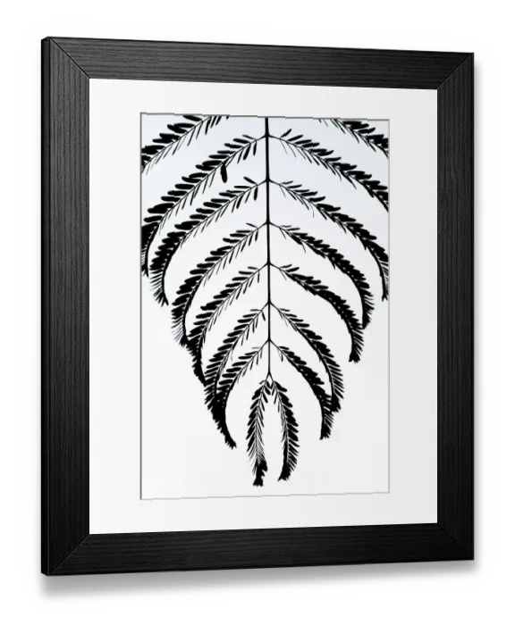 Framed Print : Palm (Areaceae) leaves silhouetted in mist at dawn, Royal Chitwan National Park, Nepal Framed Print : Palm (Areaceae) leaves silhouetted in mist at dawn, Royal Chitwan National Park, Nepal