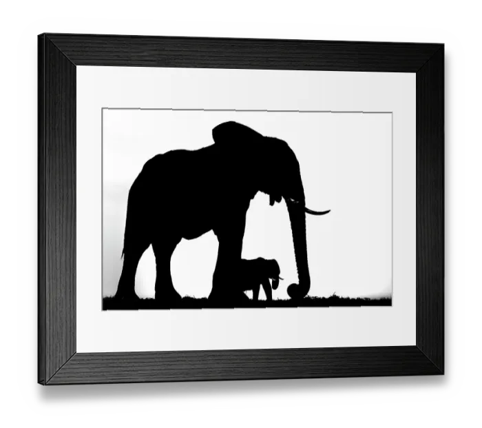 Framed Print : African elephant (Loxodonta africana) mother and calf, silhouetted, Botswana Framed Print : African elephant (Loxodonta africana) mother and calf, silhouetted, Botswana