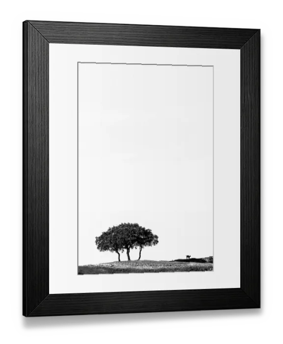 Framed Print : Iberian lynx (lynx pardinus) in distance, silhouetted on horizon, Sierra de Andujar NP, Andalusia, Spain. December Framed Print : Iberian lynx (lynx pardinus) in distance, silhouetted on horizon, Sierra de Andujar NP, Andalusia, Spain. December
