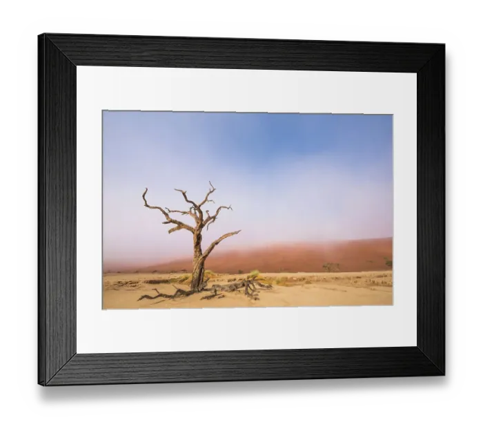 Framed Print : Ancient dead Camelthorn tree (Vachellia erioloba) trees with red dunes, Namib desert, Deadvlei, Sossusvlei, Namibia. August 2015 Framed Print : Ancient dead Camelthorn tree (Vachellia erioloba) trees with red dunes, Namib desert, Deadvlei, Sossusvlei, Namibia. August 2015
