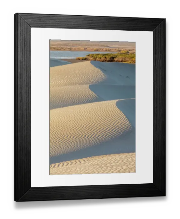 Framed Print : Dunes and estuary, El Datil, El Vizcaino Biosphere Reserve, Baja California, Mexico, February Framed Print : Dunes and estuary, El Datil, El Vizcaino Biosphere Reserve, Baja California, Mexico, February