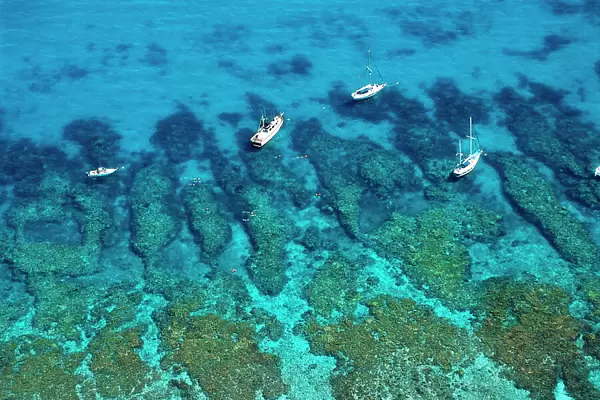 Aerial view of boats and snorkelers, Looe Key Reef, Florida Keys National Marine Sanctuary, USA, showing spur and groove coral formations