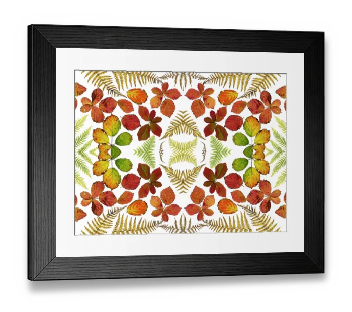 Framed Print : RF - Kaleidoscopic image of Bramble leaves (Rubus fruticosus) and bracken fronds changing colour in autumn. (This image may be licensed either as rights managed or royalty free.) Framed Print : RF - Kaleidoscopic image of Bramble leaves (Rubus fruticosus) and bracken fronds changing colour in autumn. (This image may be licensed either as rights managed or royalty free.)