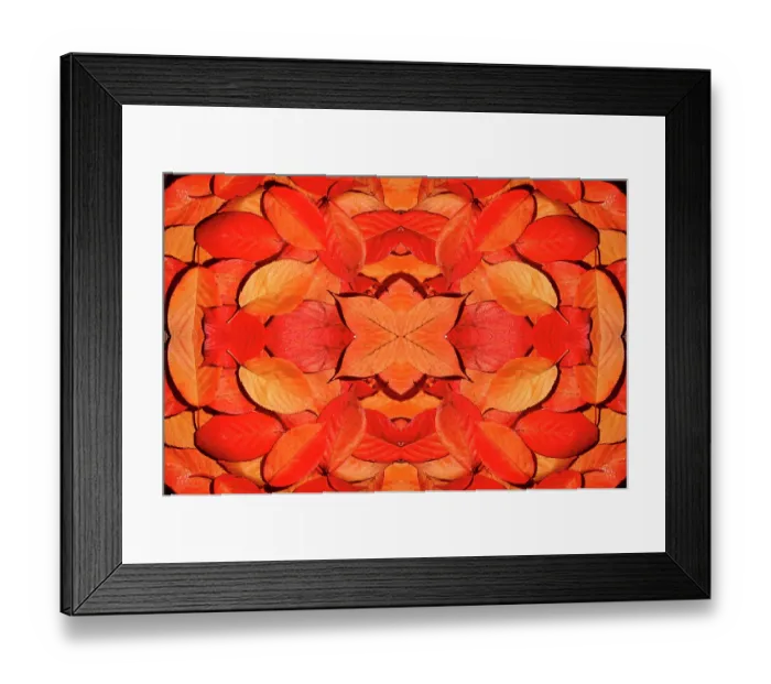 Framed Print : Kaleidoscopic image of autumn leaves. UK Framed Print : Kaleidoscopic image of autumn leaves. UK
