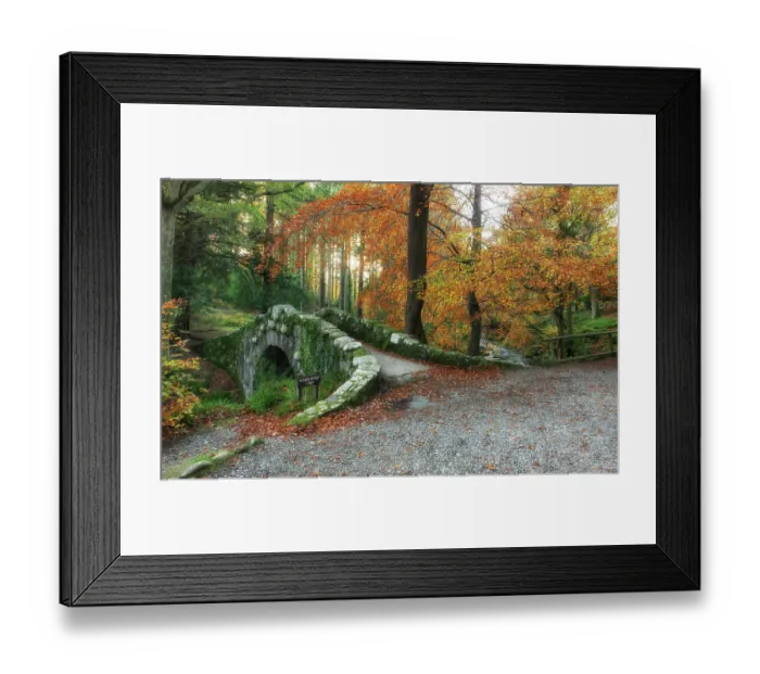 Framed Print : Bridge over Shimna River, Tollymore Forest Framed Print : Bridge over Shimna River, Tollymore Forest