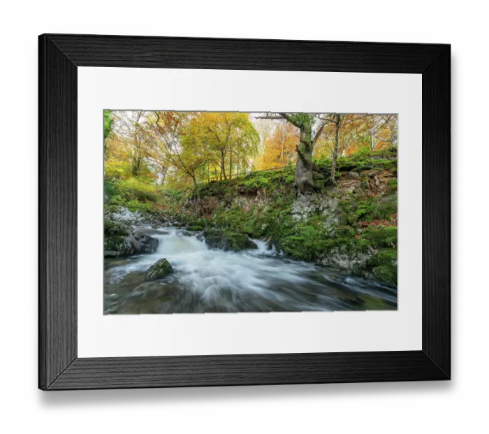 Framed Print : Shimna River Tollymore Forest, Shimna River Tollymore Forest Newcastle Framed Print : Shimna River Tollymore Forest, Shimna River Tollymore Forest Newcastle