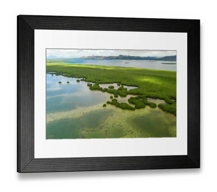 Framed Print : Aerial view of a large mangrove forest, Cakaudrove Province, Vanua Levu, Fiji. October, 2019 Framed Print : Aerial view of a large mangrove forest, Cakaudrove Province, Vanua Levu, Fiji. October, 2019