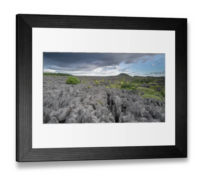 Framed Print : View over Tsingy de Bena Vony karst plateau, Ankarana National Park, Madagascar. May, 2023 Framed Print : View over Tsingy de Bena Vony karst plateau, Ankarana National Park, Madagascar. May, 2023