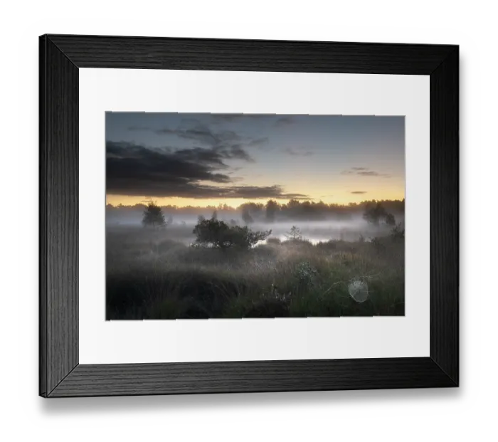 Framed Print : Mist over fens at dawn, Klein Schietveld, Brasschaat, Belgium. September, 2022 Framed Print : Mist over fens at dawn, Klein Schietveld, Brasschaat, Belgium. September, 2022