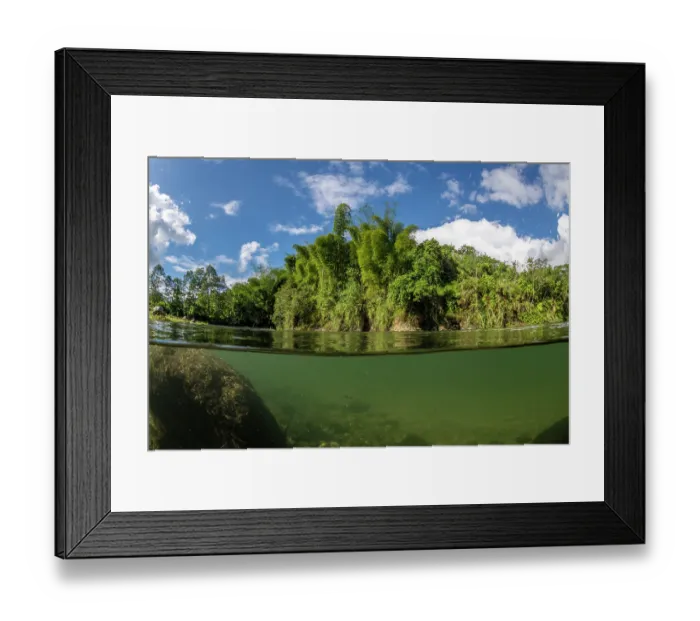Framed Print : Split level view of a small stream fringed by Bamboo plants and dense vegetation in the lush interior of Fiji's largest island Viti Levu, Namosi Province, Viti Levu, Fiji Framed Print : Split level view of a small stream fringed by Bamboo plants and dense vegetation in the lush interior of Fiji's largest island Viti Levu, Namosi Province, Viti Levu, Fiji