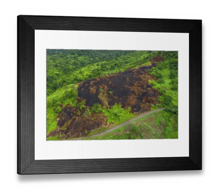Framed Print : Aerial view of burnt vegetation, part of Slash and Burn farming, Ovalau Island. Lomaiviti Group, Fiji. December, 2019 Framed Print : Aerial view of burnt vegetation, part of Slash and Burn farming, Ovalau Island. Lomaiviti Group, Fiji. December, 2019