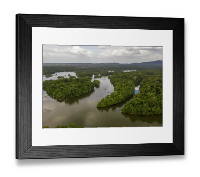 Framed Print : Aerial view of the Iwokrama Rainforest, one of the last remaining pristine rainforests on the planet, central Guyana, South America. March, 2020 Framed Print : Aerial view of the Iwokrama Rainforest, one of the last remaining pristine rainforests on the planet, central Guyana, South America. March, 2020