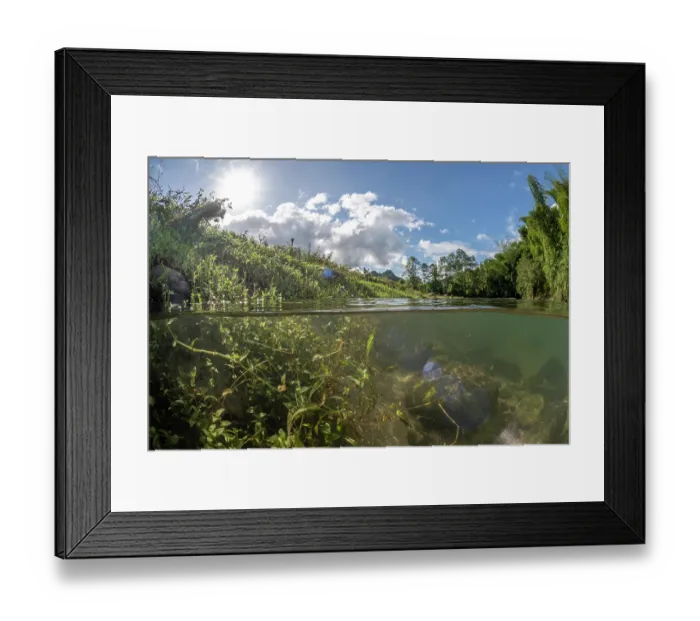 Framed Print : Split level view of a small stream surrounded by dense vegetation in the lush interior of Fiji's largest island Viti Levu, Namosi Province, Viti Levu, Fiji Framed Print : Split level view of a small stream surrounded by dense vegetation in the lush interior of Fiji's largest island Viti Levu, Namosi Province, Viti Levu, Fiji