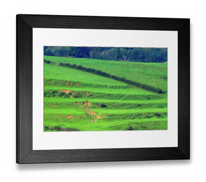 Framed Print : Strip lynchets, ancient earth terraces, in field, Loders, Dorset, England, UK. October, 2022 Framed Print : Strip lynchets, ancient earth terraces, in field, Loders, Dorset, England, UK. October, 2022