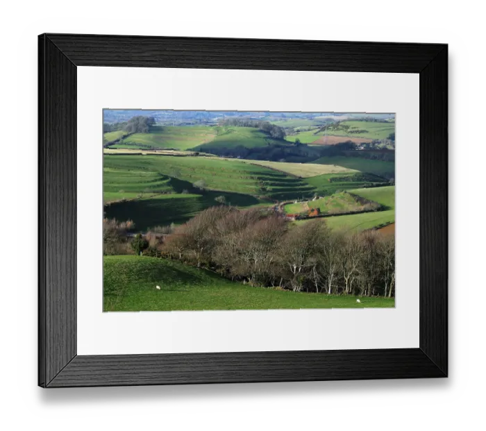 Framed Print : Strip lynchets above Loders, as seen from Shipton Hill, Dorset, England, UK. January, 2009 Framed Print : Strip lynchets above Loders, as seen from Shipton Hill, Dorset, England, UK. January, 2009
