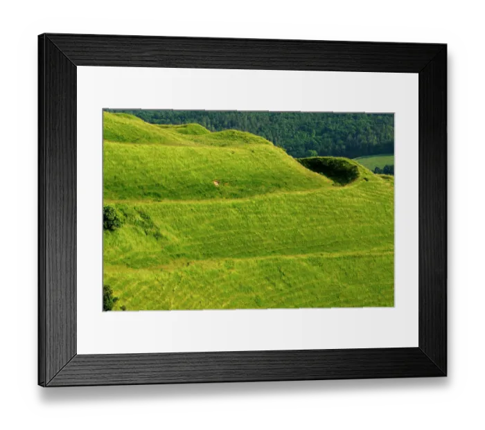 Framed Print : Earthworks at Hambledon Hill, remnants of Iron Age hillfort, Dorset, England, UK. June, 2013 Framed Print : Earthworks at Hambledon Hill, remnants of Iron Age hillfort, Dorset, England, UK. June, 2013