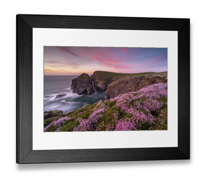 Framed Print : Sea pinks or Thrift (Armeria maritima) flowering on clifftops at sunset, Gunver Head, Longcarrow Cove, Trevone, Cornwall, UK, May 2023 Framed Print : Sea pinks or Thrift (Armeria maritima) flowering on clifftops at sunset, Gunver Head, Longcarrow Cove, Trevone, Cornwall, UK, May 2023