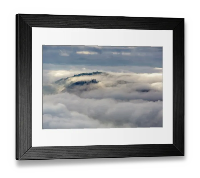 Framed Print : Low clouds move over Grizedale Forest, Lake District, Cumbria, UK, December 2020 Framed Print : Low clouds move over Grizedale Forest, Lake District, Cumbria, UK, December 2020