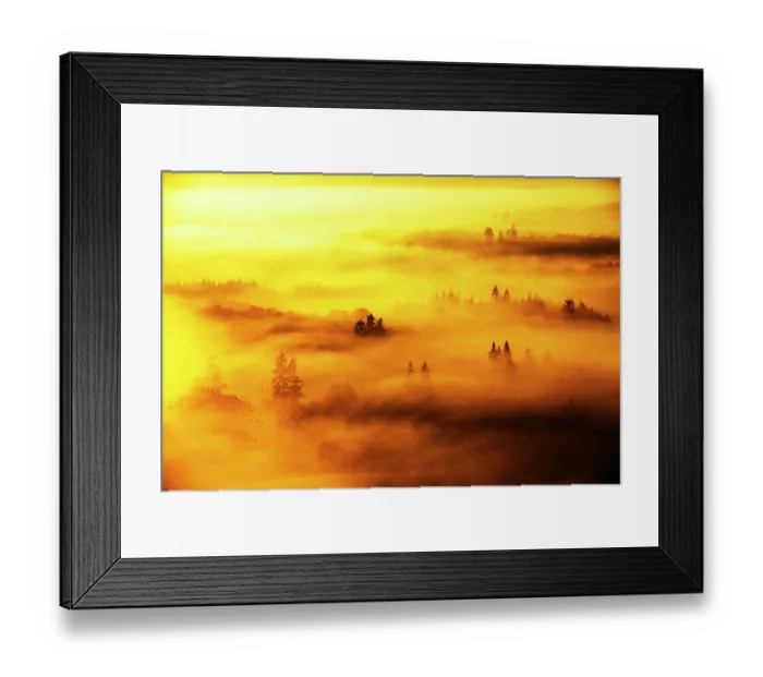 Framed Print : Flock of Jackdaws (Corvus monedula) flying through mist over trees beside Lake Windermere, as seen from Todd Crag, Lake District, Cumbria, UK, November 2015 Framed Print : Flock of Jackdaws (Corvus monedula) flying through mist over trees beside Lake Windermere, as seen from Todd Crag, Lake District, Cumbria, UK, November 2015