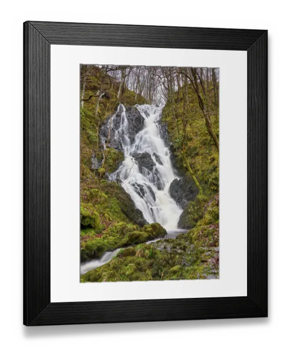 Framed Print : Waterfall cascading down hillside in Oak (Quercus sp) woodland, Wood of Cree, Dumfries and Galloway. Scotland, UK. March, 2023 Framed Print : Waterfall cascading down hillside in Oak (Quercus sp) woodland, Wood of Cree, Dumfries and Galloway. Scotland, UK. March, 2023