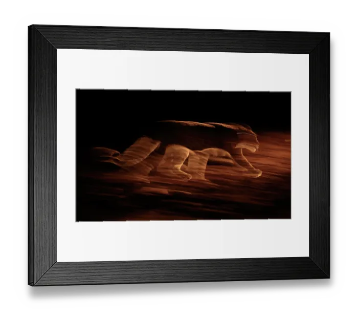 Framed Print : African leopard (Panthera pardus) crossing in front of vehicle headlights, slow motion pan, South Luangwa National Park, Zambia