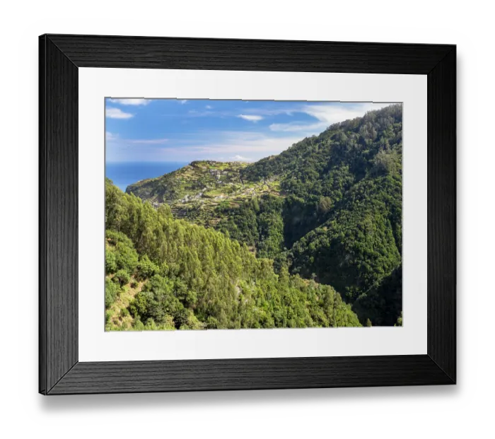 Framed Print : Terraced farm fields and native Laurel (Laurus nobilis) forest, Ribieras da Janella, Madeira. March Framed Print : Terraced farm fields and native Laurel (Laurus nobilis) forest, Ribieras da Janella, Madeira. March