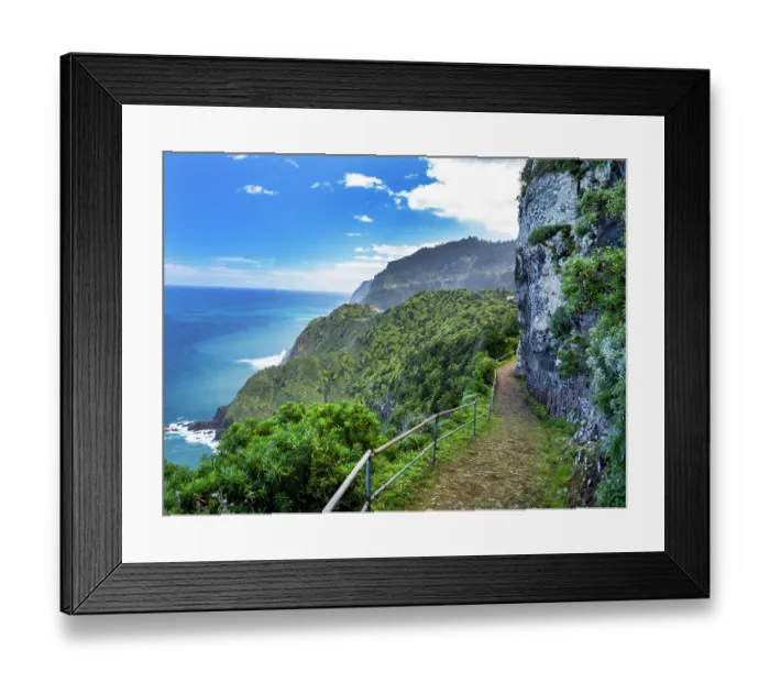 Framed Print : Laurel (Laurus nobilis) trees covering cliffs with steep mountain footpath along coast, Boa Ventura, Madeira. March Framed Print : Laurel (Laurus nobilis) trees covering cliffs with steep mountain footpath along coast, Boa Ventura, Madeira. March